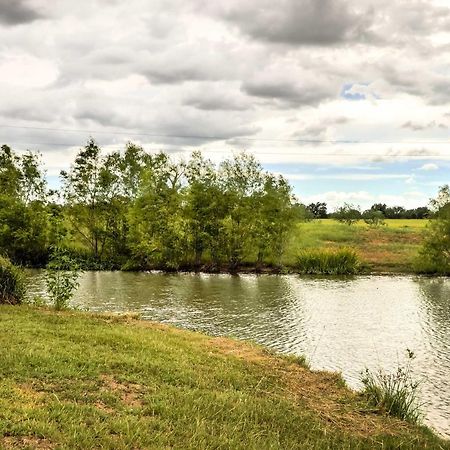 Carmine Cottage With Porch On Beautiful 60-Acre Farm المظهر الخارجي الصورة